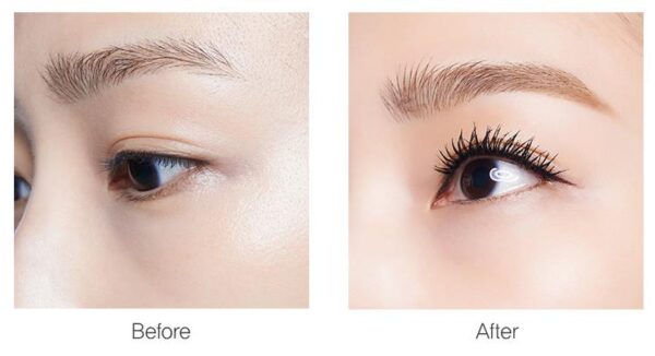 THE SAEM SAEMMUL PERFECT VOLUME MASCARA-RIMEL - Imagen 4
