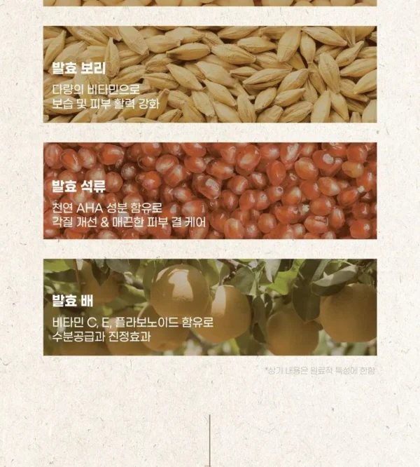 MIXSOON BEAN CLEANSING OIL-ACEITE LIMPIADOR - Imagen 3